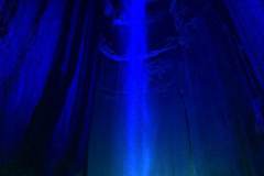 IMG_2922